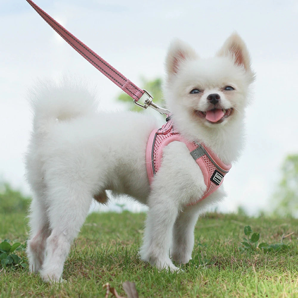 利用可能なポイント ハーネス 犬用 リード お散歩 お散歩 お洒落 スタイリッシュ ワンタッチ ベスト 犬 イヌ 小型犬 中型犬 大型犬 ベストハーネス 反射ステッチ 反射テープ サイズ展開豊富 カ