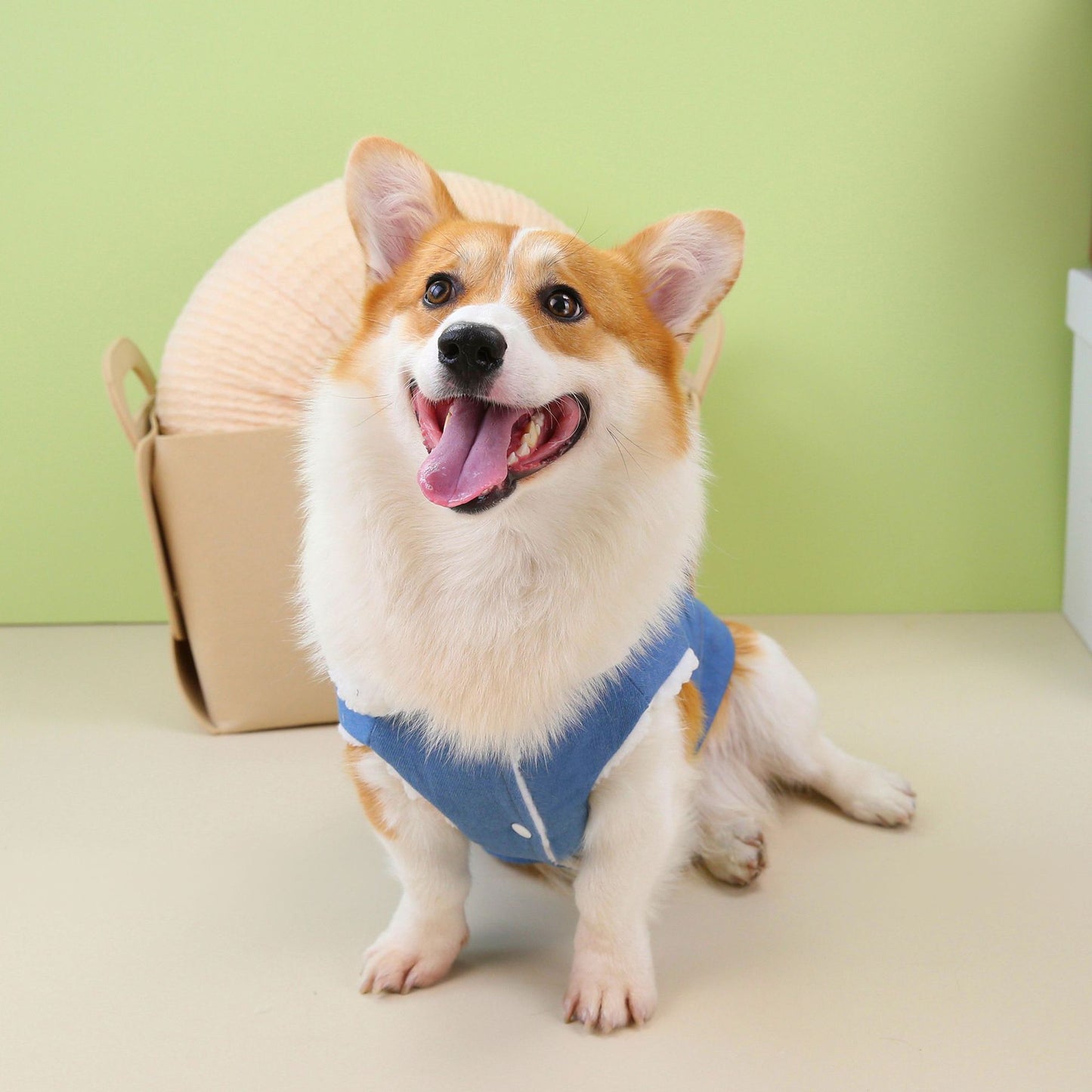 猫 犬 洋服 犬服 ペット服 大中小型犬 ペット用品 犬/猫用 犬の服 ペットウエア 小型犬 中型犬 通気 可愛い ドッグウェア トレーナー 犬 服 ワンピース サロペット ビションフリーゼ 犬猫服