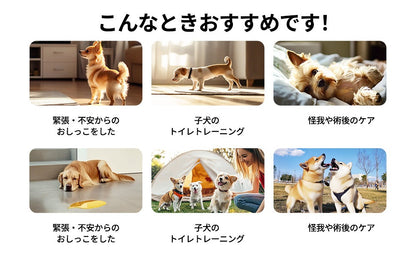 <a href="https://www.qoo10.jp/gmkt.inc/Search/brand.aspx?brandno=109151" target="_blank" class="title_brand" id="btn_brand" title="Honeycare">Honeycare</a>ペットの紙おむつ 男の子用 50枚入り 犬用 オムツ マナーウェア 犬用 高齢犬用 紙オムツ 犬 紙おむつ 旅行・介護・トレーニング対応 SSS/SS/S/M/Lサイズ選べる 使い捨て 清潔・快適設計
