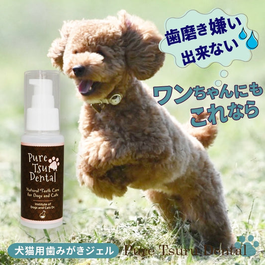 獣医推薦愛犬愛猫の歯垢歯石歯周病が塗るダケでツルツルな歯に！安心安全な100％天然由来！歯磨ジェル　ピュアツルデンタル60m