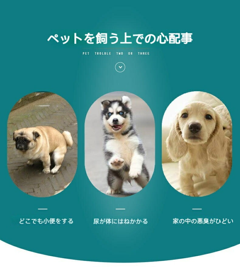 洗えるペットシーツ 洗える 滑り止め 犬シーツ ワイド おしっこシート ペットシーツ 消臭 丸ごと洗える 下敷きマット 四重構造 漏れ防止 速乾 中型 大型 犬 猫 犬用 おしっこパッド エ