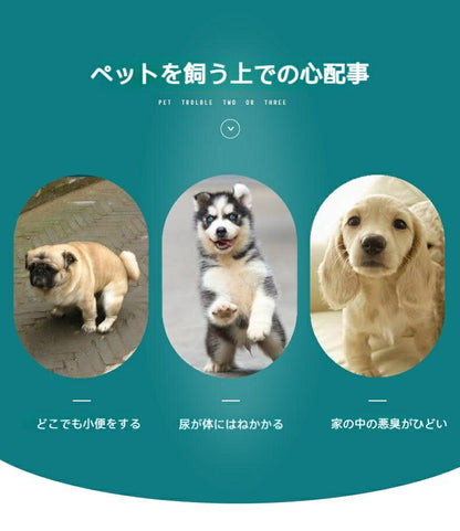 洗えるペットシーツ 洗える 滑り止め 犬シーツ ワイド おしっこシート ペットシーツ 消臭 丸ごと洗える 下敷きマット 四重構造 漏れ防止 速乾 中型 大型 犬 猫 犬用 おしっこパッド エ