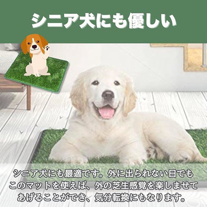 ペットマット 犬用 猫用 トレーニングパッド 人工芝 芝マット(グリーン, S 36x46cm)
