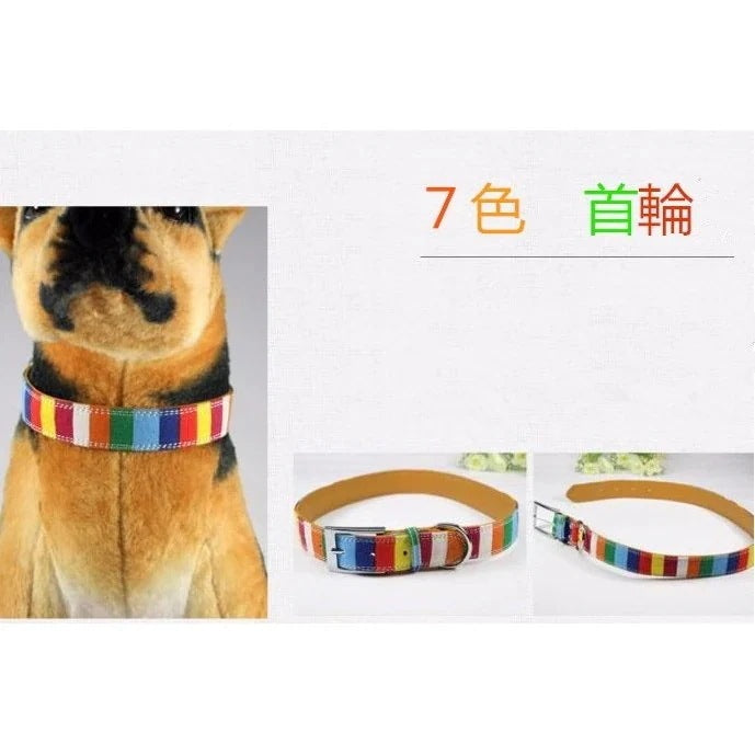 選べる福袋2025-犬用 首輪 ペットリード ２点セット 帆布七つ色 帆布＋レザー メール便対応