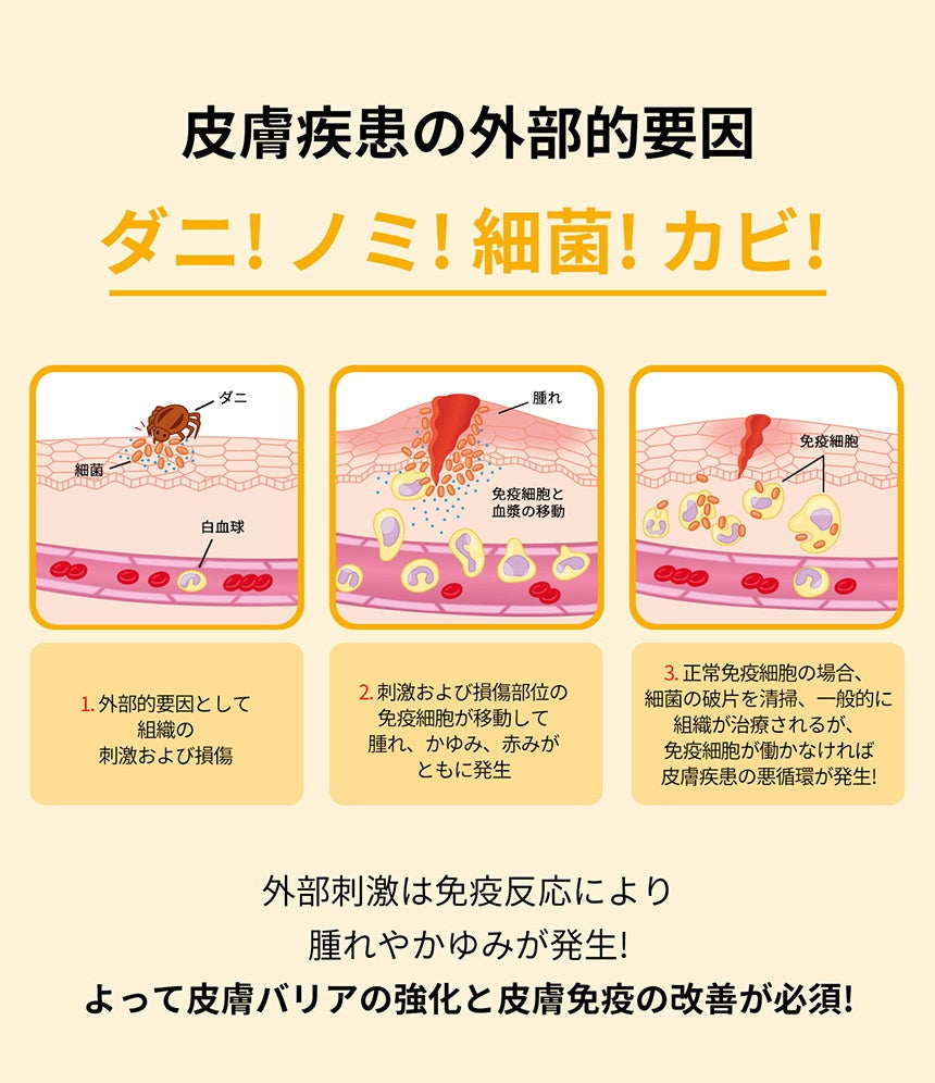 <a href="https://www.qoo10.jp/gmkt.inc/Search/brand.aspx?brandno=120824" target="_blank" class="title_brand" id="btn_brand" title="ドクターバイ">ドクターバイ</a>[公式] スキン＆コート 犬 皮膚 サプリメント 毛 保湿 皮膚炎 痒み止め 指間炎 日本特許成分「AF-343」 30本 (240g)