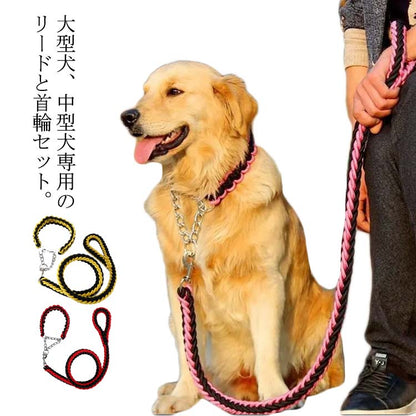 リード 首輪 2点セット 犬 首輪セット リードセット 小型犬 中型犬 大型犬 太く 頑丈 犬用リード 散歩 お出かけ しつけ ペット 極太 編み紐 噛み癖 防止 ドッググッズ ペット用 お