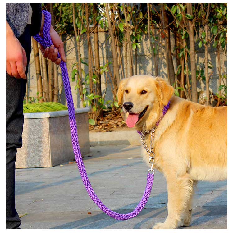 送料無料 リード 首輪 2点セット 犬 首輪セット リードセット 小型犬 中型犬 大型犬 太く 頑丈 丈夫 犬用リード 極太 編み紐 噛み癖 防止 ドッググッズ 散歩 お出かけ しつけ ペット ペット