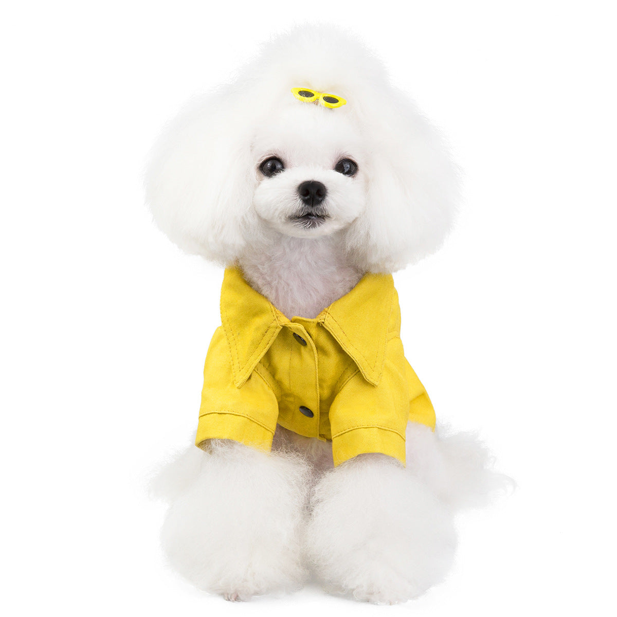 猫 犬 洋服 犬服 ペット服 大中小型犬 ペット用品 犬/猫用 犬の服 ペットウエア 小型犬 中型犬 通気 可愛い ドッグウェア トレーナー 犬 服 ワンピース サロペット ビションフリーゼ 犬猫服