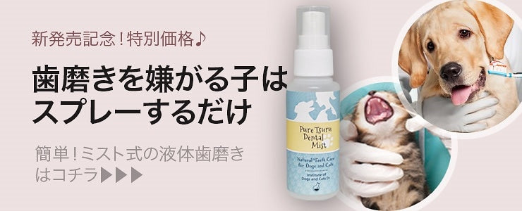獣医推薦愛犬愛猫の歯垢歯石歯周病が塗るダケでツルツルな歯に！安心安全な100％天然由来！歯磨ジェル　ピュアツルデンタル60m
