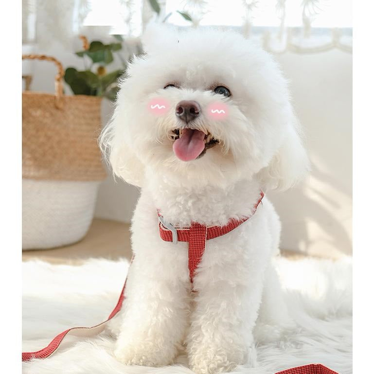 ペット用品 ハーネスリードセット お散歩 ハーネス リード マスコットつき 新作セール 犬 猫 ワンちゃん 猫ちゃん
