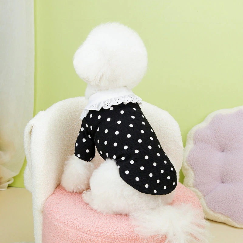 [犬 服]犬 洋服 ins人気商品 新作犬服春夏薄手Tシャツ小型犬ペットTシャツ二本足服