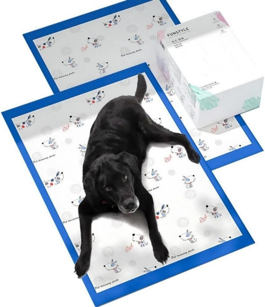 IDOLYFAN ペットシーツ 犬用 猫用 60×90cm 20枚入り 5層中厚手 防漏 超吸収 消臭 トイレトレーニング 中型・大型犬 うさぎ/ハムスター対応 屋内/介護/旅行用
