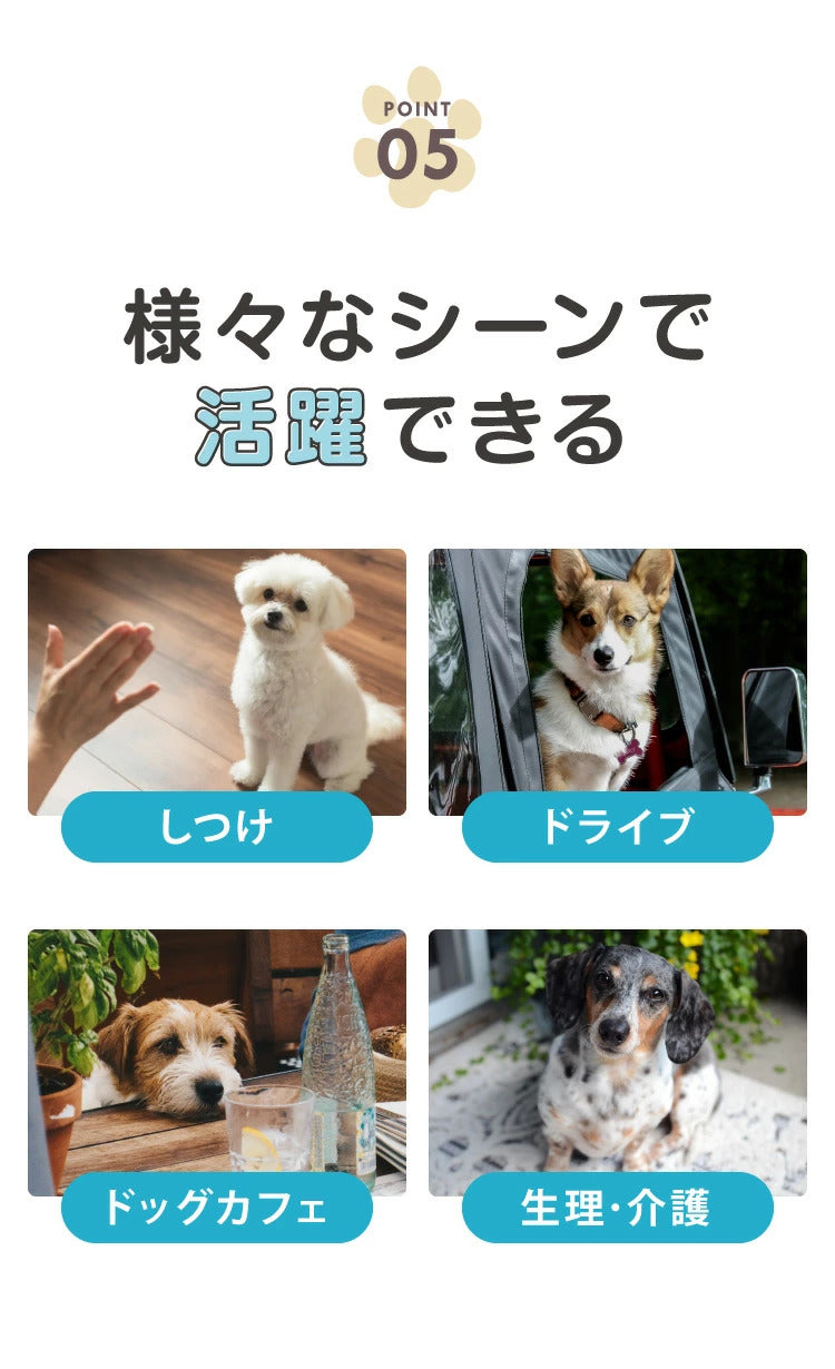 <a href="https://www.qoo10.jp/gmkt.inc/Search/brand.aspx?brandno=134820" target="_blank" class="title_brand" id="btn_brand" title="リコメン堂">リコメン堂</a>犬 おむつ ペット 女の子 抗菌 消臭 XXS XS S M L XL 6サイズ 7層構造 超吸収 防臭 120枚 100枚 大容量 マナー ベルト パンツ しつけ マーキング防止 介護 超小型犬 小