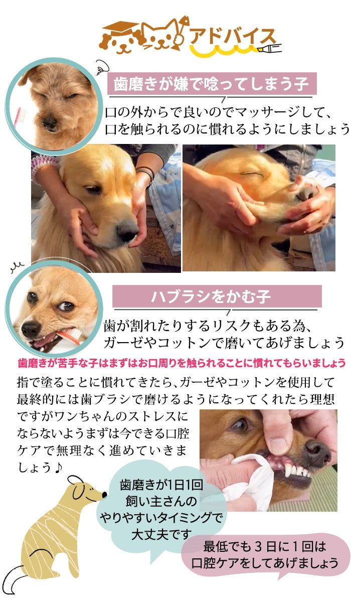獣医推薦愛犬愛猫の歯垢歯石歯周病が塗るダケでツルツルな歯に！安心安全な100％天然由来！歯磨ジェル　ピュアツルデンタル60m