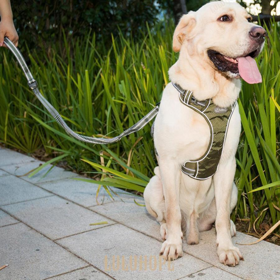 大型犬 伸縮リード 犬用 おしゃれ 散歩リード 持ちやすい 大型犬 弾力設計 リード 中型犬 中型犬 ソフトハンドル 車載用 反射機能 ドッグ訓練リード