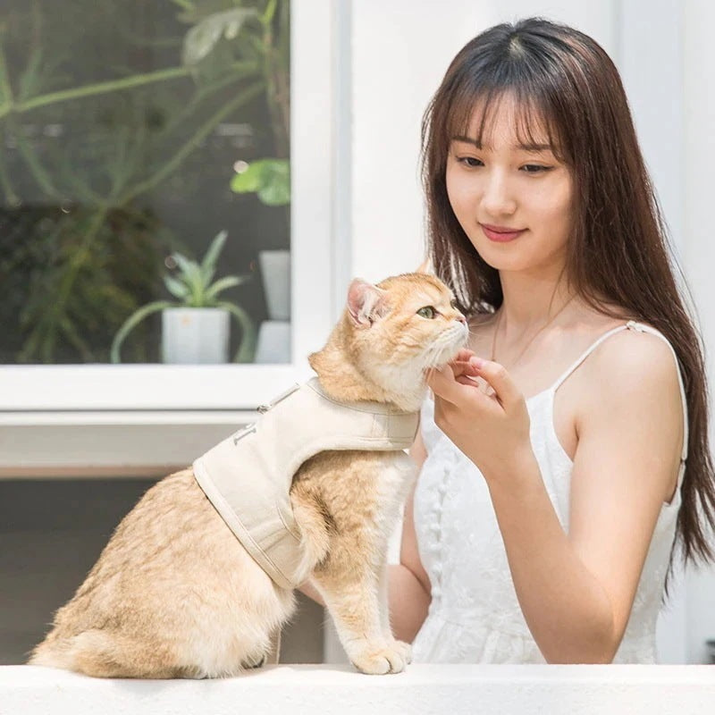 選べる福袋2025-犬 ハーネスリード ２点セット ペット用品 大型犬 小型犬 中型犬 ペットグッズ 犬用 猫用 胴輪