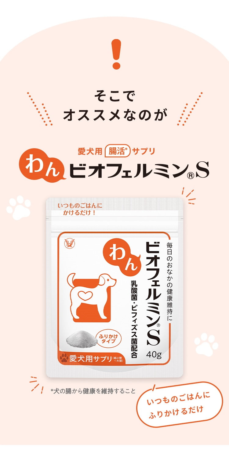 <a href="https://www.qoo10.jp/gmkt.inc/Search/brand.aspx?brandno=62316" target="_blank" class="title_brand" id="btn_brand" title="大正製薬">大正製薬</a>【公式】大正製薬 わんビオフェルミンS 40g 犬 サプリ サプリメント 腸活 免疫力 健康維持 ビフィズス菌 乳酸菌 犬サプリ イヌ 犬用 ペット 腸活サプリ 無添加 ふりかけ 粉 腸内環境