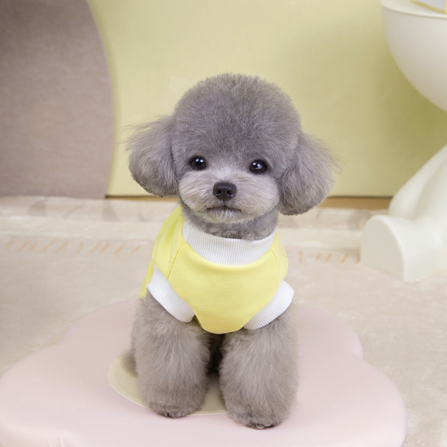 猫 犬 洋服 犬服 ペット服 大中小型犬 ペット用品 犬/猫用 犬の服 ペットウエア 小型犬 中型犬 通気 可愛い ドッグウェア トレーナー 犬 服 ワンピース サロペット ビションフリーゼ 犬猫服