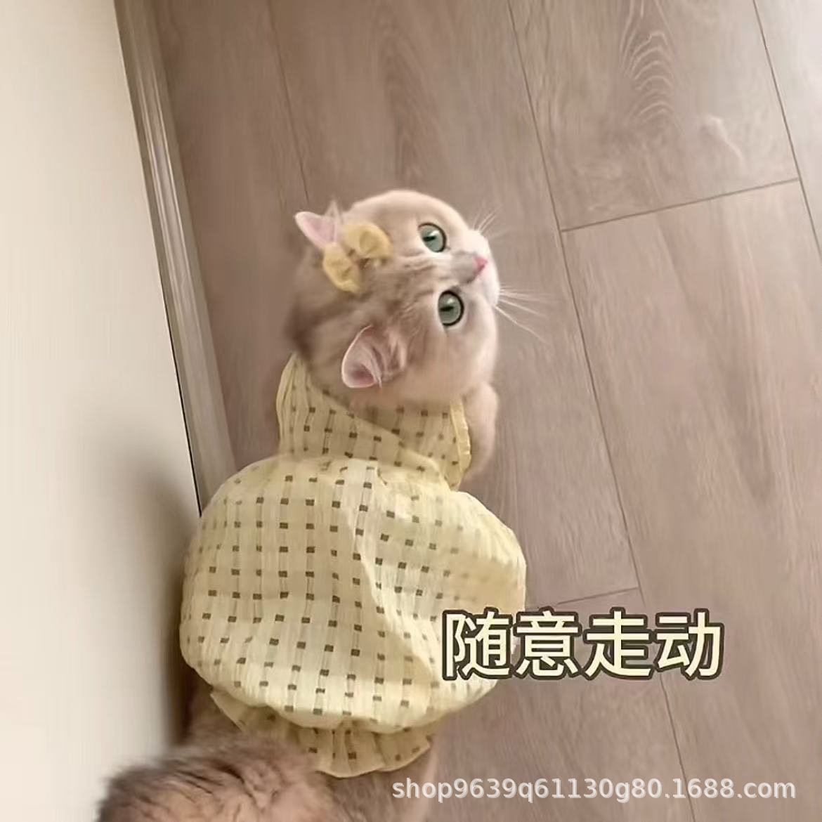 お得な商品 犬服 かわいい バルーン ドレス 犬洋服 猫服 猫 ワンピース 猫用 犬の服 犬用服 ペット服 キャミソール 犬 透け感 夏 春夏 犬服夏 着せやすい大好評