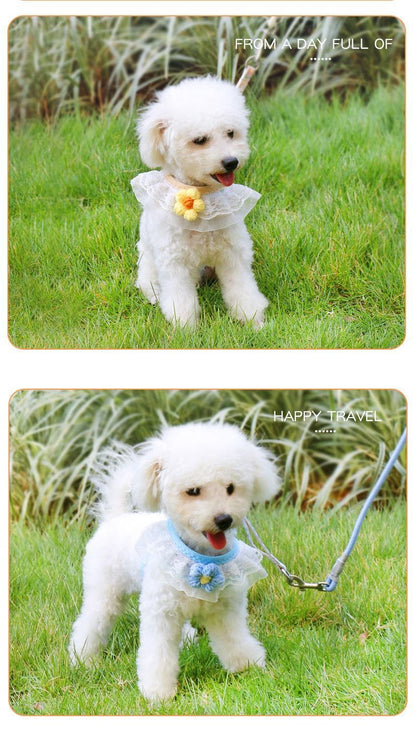 犬の牽引紐は犬のチェーンの小型犬のペットの胸の帯のテディの熊の子犬を散歩します