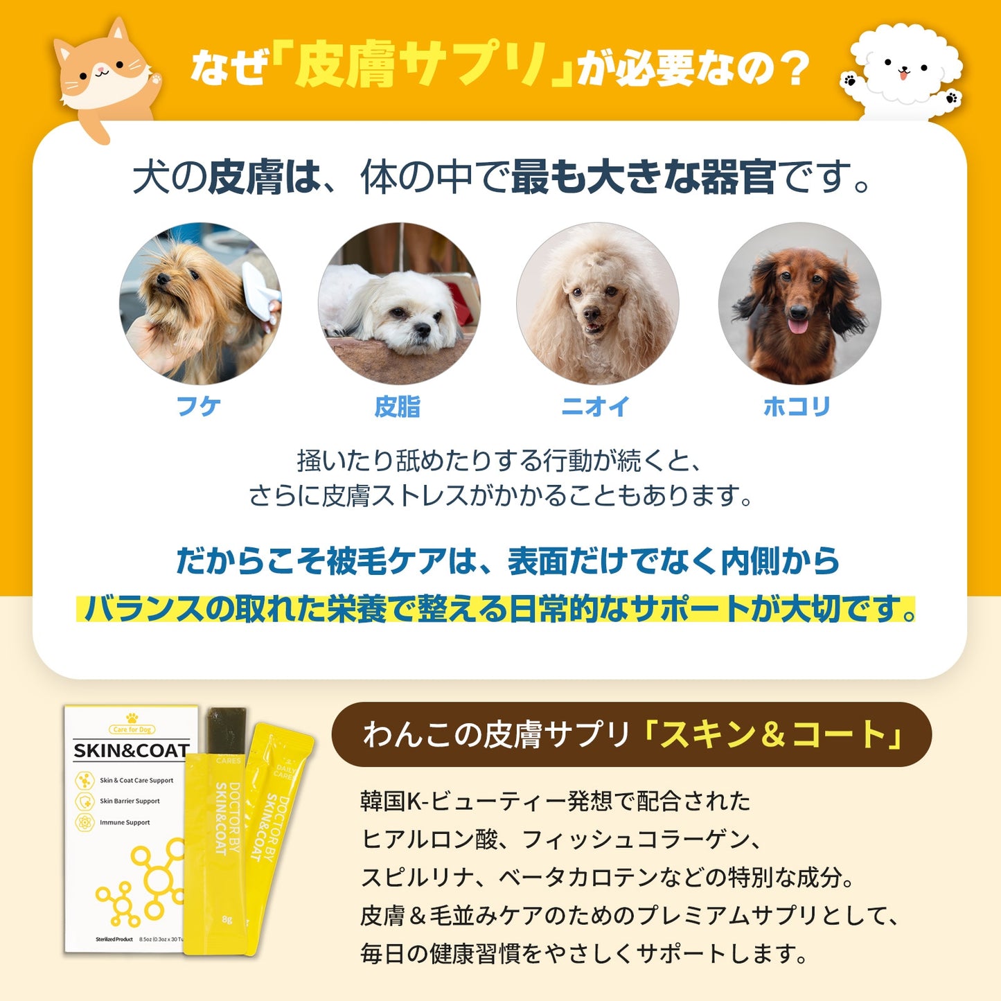 <a href="https://www.qoo10.jp/gmkt.inc/Search/brand.aspx?brandno=120824" target="_blank" class="title_brand" id="btn_brand" title="ドクターバイ">ドクターバイ</a>[公式] スキン＆コート 犬 皮膚 サプリメント 毛 保湿 皮膚炎 痒み止め 指間炎 日本特許成分「AF-343」 30本 (240g)