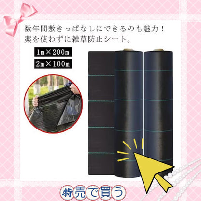 [送&料無料]リード LEDライト式リード LED 光る 首輪 ライト付き カラフル 夜間 USB 充電式 充電式 散歩 犬 発光 幅2.3cm 小型犬 点滅 犬用リード LEDライト式リード