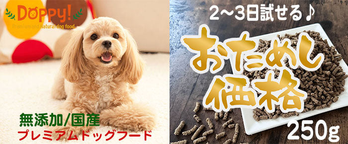チェック柄 かわいい 犬首輪 子犬 小型犬首輪 猫首輪 犬の首輪 チェック 子猫 猫首輪 子犬 中型犬 犬 首輪 リボン 小型犬 犬用 おしゃれ 猫の首輪 鈴付き 猫 鈴