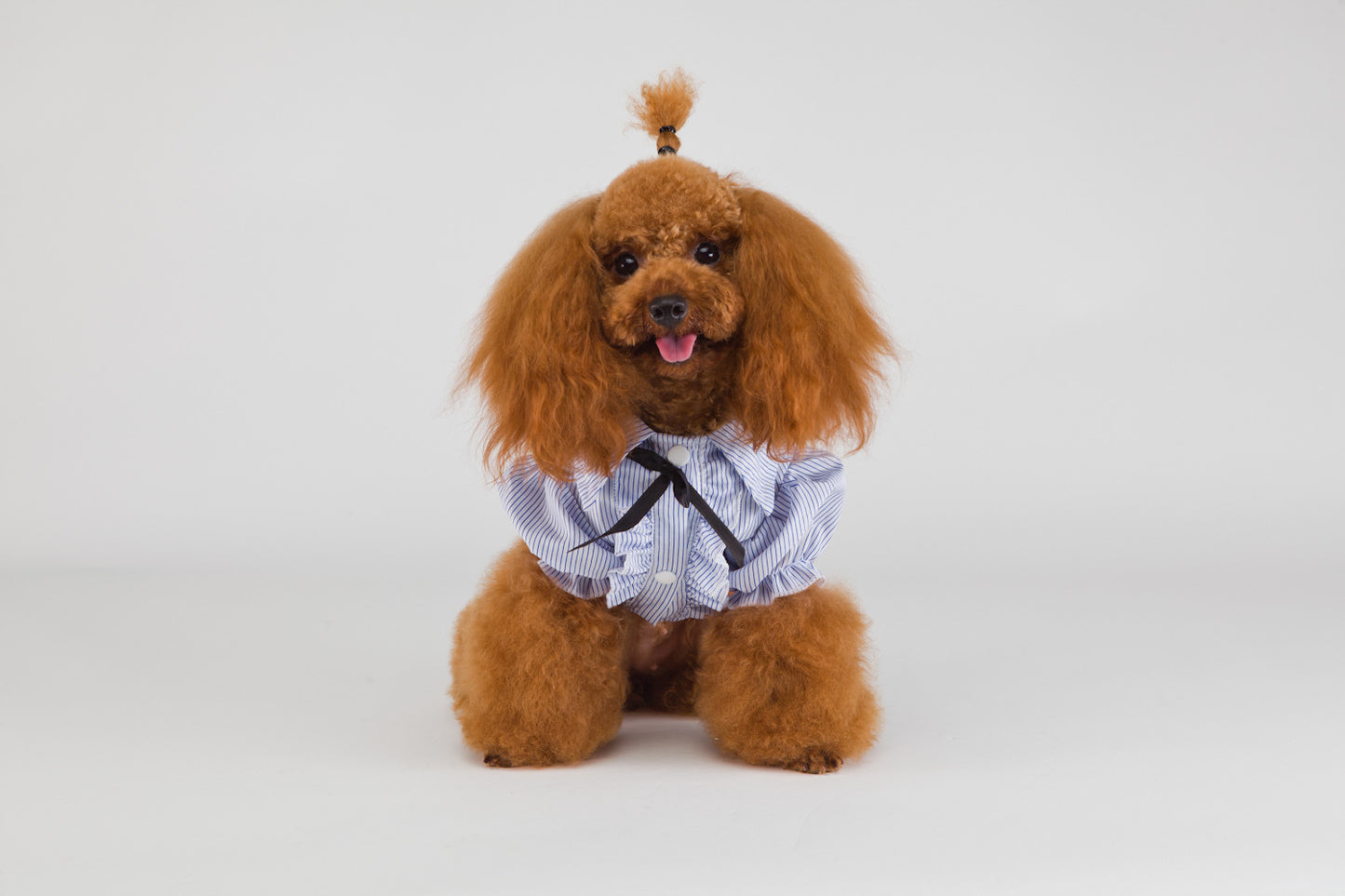 猫 犬 洋服 犬服 ペット服 大中小型犬 ペット用品 犬/猫用 犬の服 ペットウエア 小型犬 中型犬 通気 可愛い ドッグウェア トレーナー 犬 服 ワンピース サロペット ビションフリーゼ 犬猫服