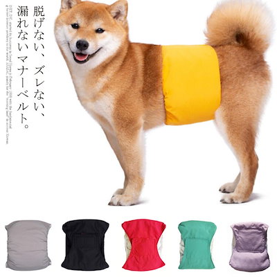 <a href="https://www.qoo10.jp/gmkt.inc/Search/brand.aspx?brandno=124379" target="_blank" class="title_brand" id="btn_brand" title="マナーウェア">マナーウェア</a>犬用 マナー 男の子 マナーウェア おむつカバー いぬ用 トイレ用品 マナーバンド 生理用 犬