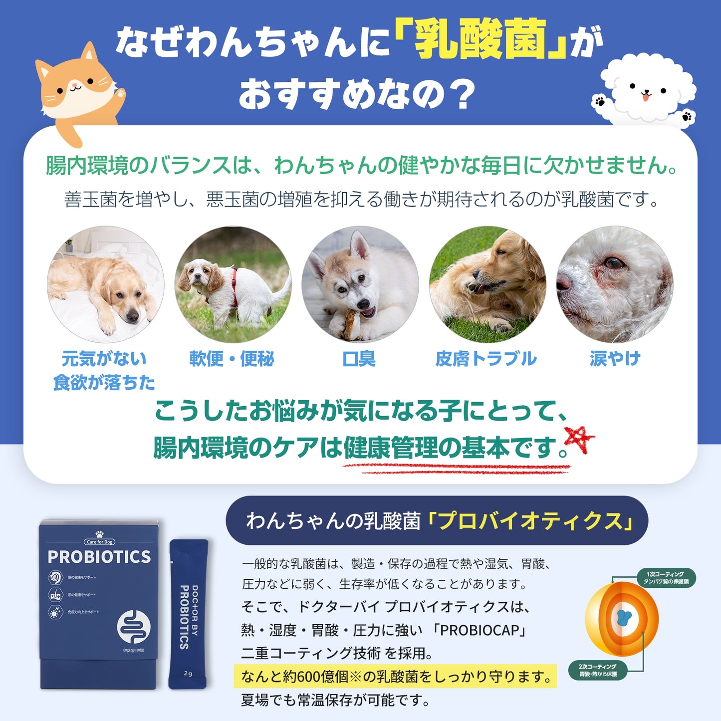 <a href="https://www.qoo10.jp/gmkt.inc/Search/brand.aspx?brandno=120824" target="_blank" class="title_brand" id="btn_brand" title="ドクターバイ">ドクターバイ</a>[公式]犬プロバイオティクス犬乳酸菌サプリメント下痢止め便秘解消整腸剤下痢 30本(60g)