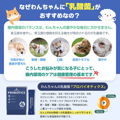<a href="https://www.qoo10.jp/gmkt.inc/Search/brand.aspx?brandno=120824" target="_blank" class="title_brand" id="btn_brand" title="ドクターバイ">ドクターバイ</a>[公式]犬プロバイオティクス犬乳酸菌サプリメント下痢止め便秘解消整腸剤下痢 30本(60g)