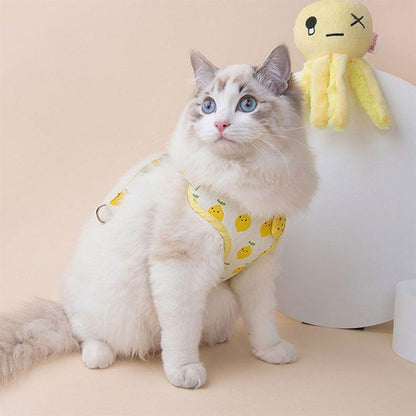 3日以内に出荷 2025新品 ２点セット ペット用品 ハーネス リード 猫用 小型犬用 全３色 ポリエステル S ( 15-3kg ) M ( 3-5kg ) L( 5-75kg ) リード長さ12