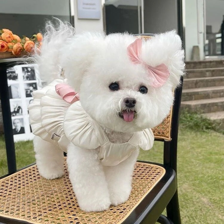 春夏新作 薄手のチョッキ ペット ペットの服 ペット用品 チュールスカートテディベア 愛犬 犬服 犬の服