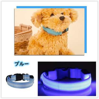 犬 首輪 光る LED キラキラ 光るバンド S/M/L 首バンド 夜間 散歩 夜 ペット リード ジョギング ウォーキング きらきらバンド 安全ライト 防止 点滅 ライト ins