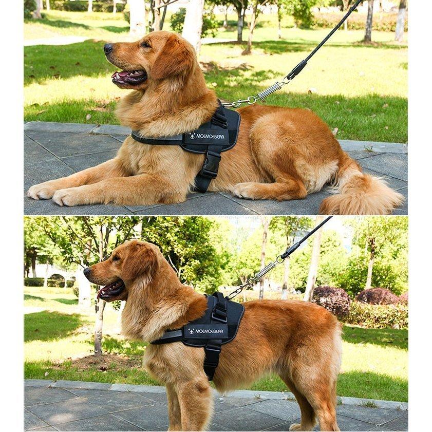ハーネスリード胴輪首輪犬用中型犬スプリングペット8の字ハーネス通気性リードハーネスセットドッグランお散歩脱着簡単衝撃吸収外出