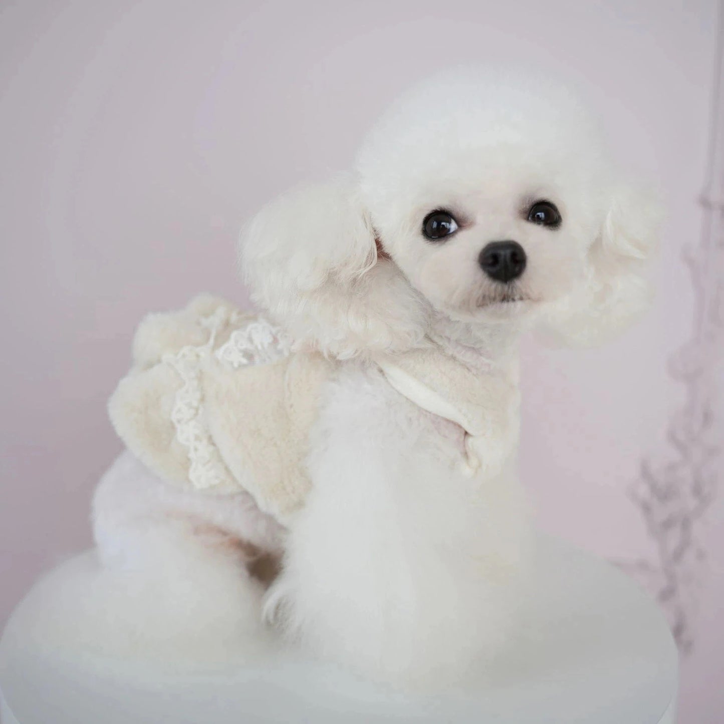 犬の服ペット犬秋冬モデル模造ウサギ毛ホルタードレス猫コールドコート クマテディコート