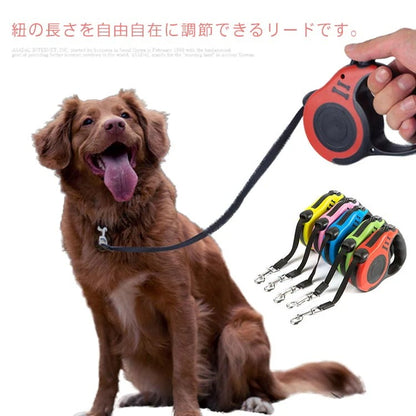 リード 小型犬 中型犬 猫 犬用 長さ3m 伸縮リード テープタイプ コードタイプ 頑丈 ロングリード 伸びるリード 巻き取り お散歩 コンパクト 軽量