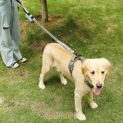 大型犬 伸縮リード 犬用 おしゃれ 散歩リード 持ちやすい 大型犬 弾力設計 リード 中型犬 中型犬 ソフトハンドル 車載用 反射機能 ドッグ訓練リード