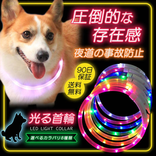光る首輪 光る 充電式 散歩 首輪 LED おしゃれ 犬 夜 ペット レインボー 猫 USB ライト