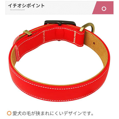 首輪 犬 ベーシック 毛挟まれ防止 犬首輪 革 おしゃれ かわいい 中型犬 犬の首輪 柴犬 いぬ く