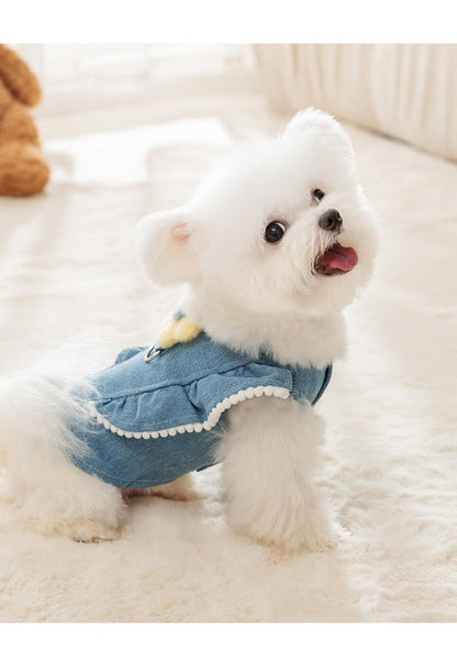 春と秋の犬服テディボーミペットのコキシナレビーベア秋冬服 牽引可能ペット衣類