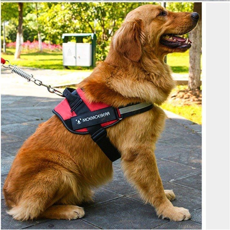 ハーネスリード胴輪首輪犬用中型犬スプリングペット8の字ハーネス通気性リードハーネスセットドッグランお散歩脱着簡単衝撃吸収外出