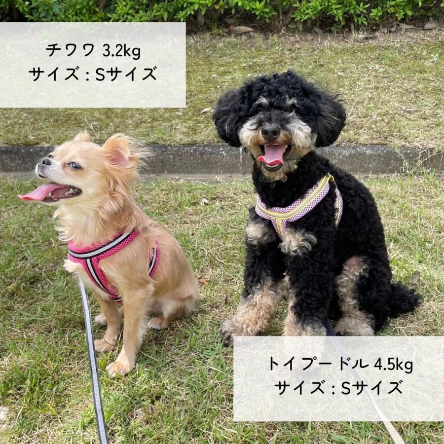 犬用ハーネス ソフトハーネス セット 柴犬 リード 小型犬 犬ハーネス 犬 中型犬 ハーネス 犬のハーネス メッシュ ワイド幅メッシュハーネス