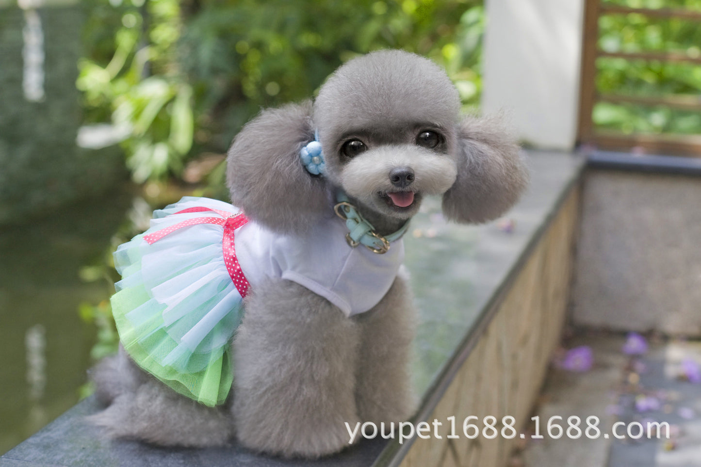 猫 犬 洋服 犬服 ペット服 大中小型犬 ペット用品 犬/猫用 犬の服 ペットウエア 小型犬 中型犬 通気 可愛い ドッグウェア トレーナー 犬 服 ワンピース サロペット ビションフリーゼ 犬猫服