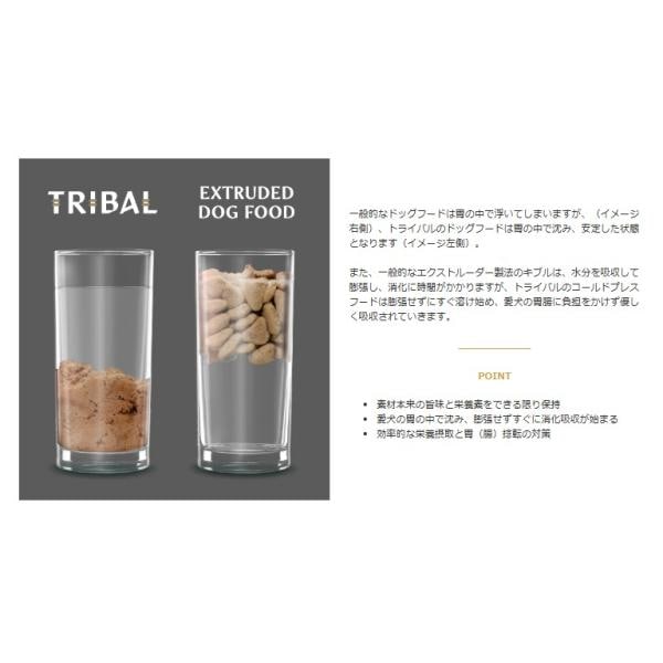 TRIBAL トライバル フレッシュチキンドッグフード 400g 犬 餌 低アレルギー 低アレルゲン 低温調理 コールドプレス