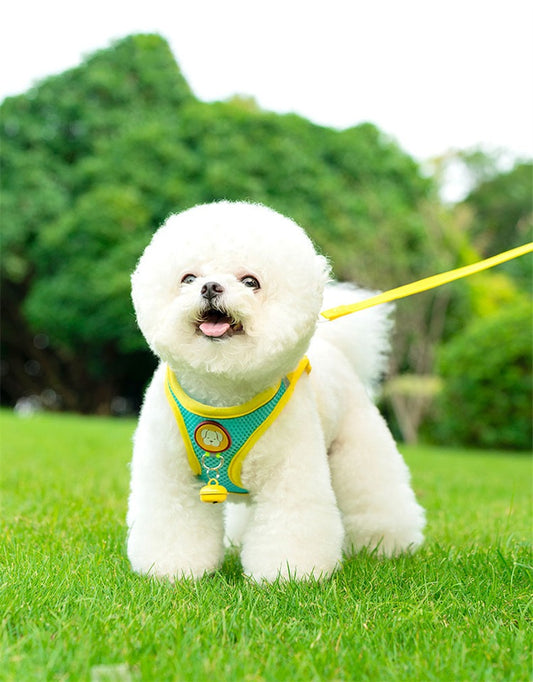 犬ハーネス メッシュ生地 軽量 調節可能 通気性 引っ張り防止 犬用胴輪 簡単着脱 夜間反射 咳き込み軽減 耐久性 小型犬 中型犬 人気 丈夫 散歩用ペット首輪