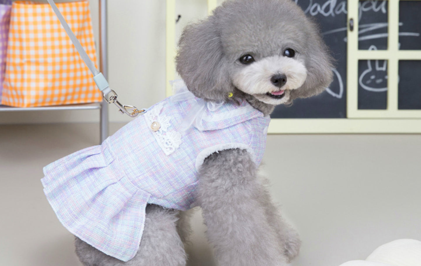 猫 犬 洋服 犬服 ペット服 大中小型犬 ペット用品 犬/猫用 犬の服 ペットウエア 小型犬 中型犬 通気 可愛い ドッグウェア トレーナー 犬 服 ワンピース サロペット ビションフリーゼ 犬猫服
