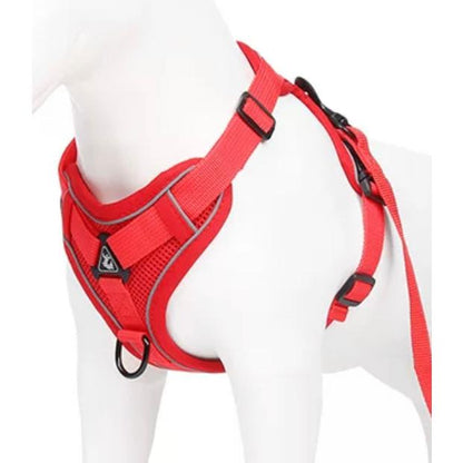 新商品プロモーション，数量限定 犬 犬ハーネス ハーネス リード付き 犬用 猫用 ペット しゃれ 脱げない かわいい 小型 中型 大型 メッシュ 胴輪 散歩 簡単装着 軽量 春 夏 秋 冬 かわいい