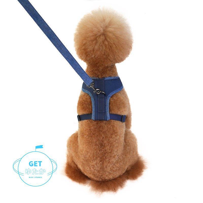 ハーネスリード 2点セット ベストタイプ 犬 猫 ドッグ キャット 小型犬 中型犬 ペット用品 ペットグッズ ハーネス リード 胴輪 無地 メッシュ