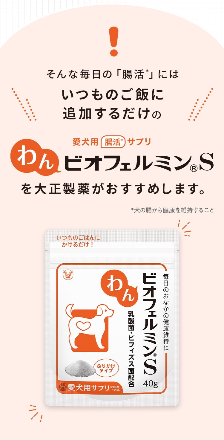 <a href="https://www.qoo10.jp/gmkt.inc/Search/brand.aspx?brandno=62316" target="_blank" class="title_brand" id="btn_brand" title="大正製薬">大正製薬</a>【公式】大正製薬 わんビオフェルミンS 40g 犬 サプリ サプリメント 腸活 免疫力 健康維持 ビフィズス菌 乳酸菌 犬サプリ イヌ 犬用 ペット 腸活サプリ 無添加 ふりかけ 粉 腸内環境